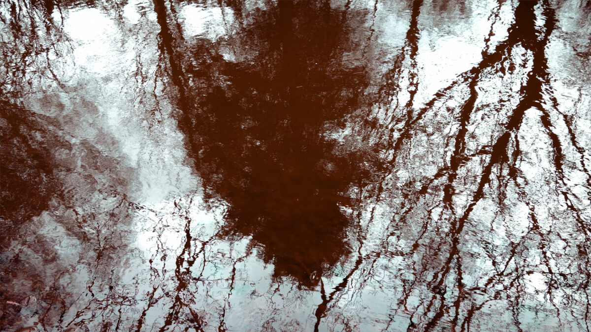 Esther Cornils, Fotoarbeiten