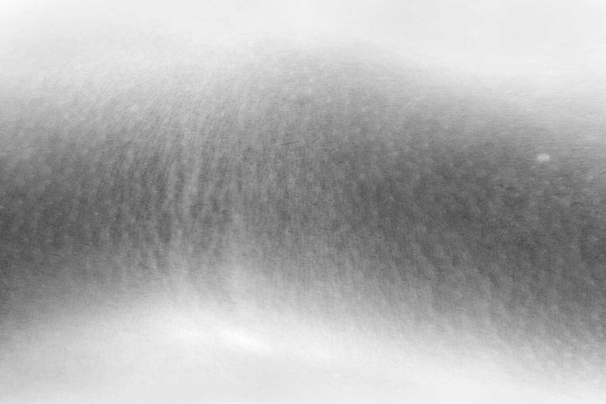 Esther Cornils, Fotoarbeit